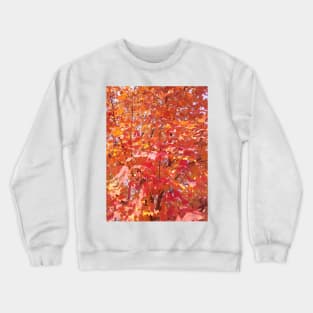 Red Autumn Leaves Crewneck Sweatshirt